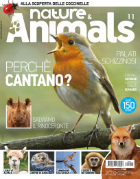 Nature & Animals # 11